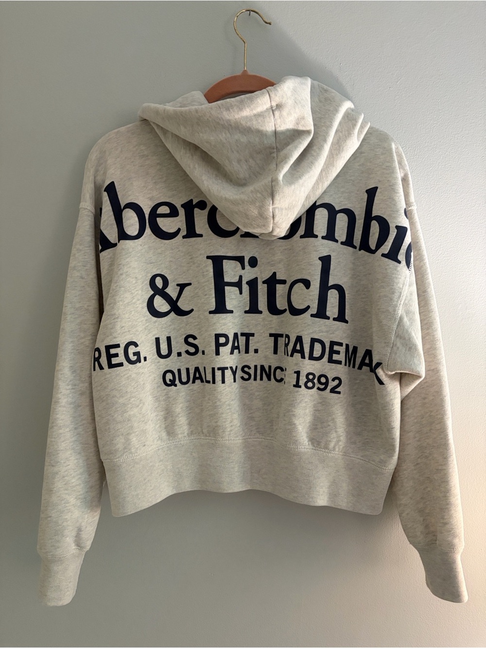 Abercrombie & Fitch Hooded Logo Zip-Up Sweatshirt